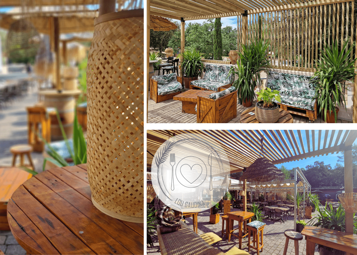 LOGO GAUDINA AVEC FOND