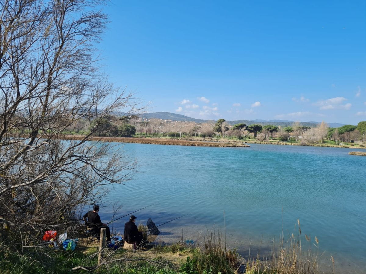 Les étangs de Villepey