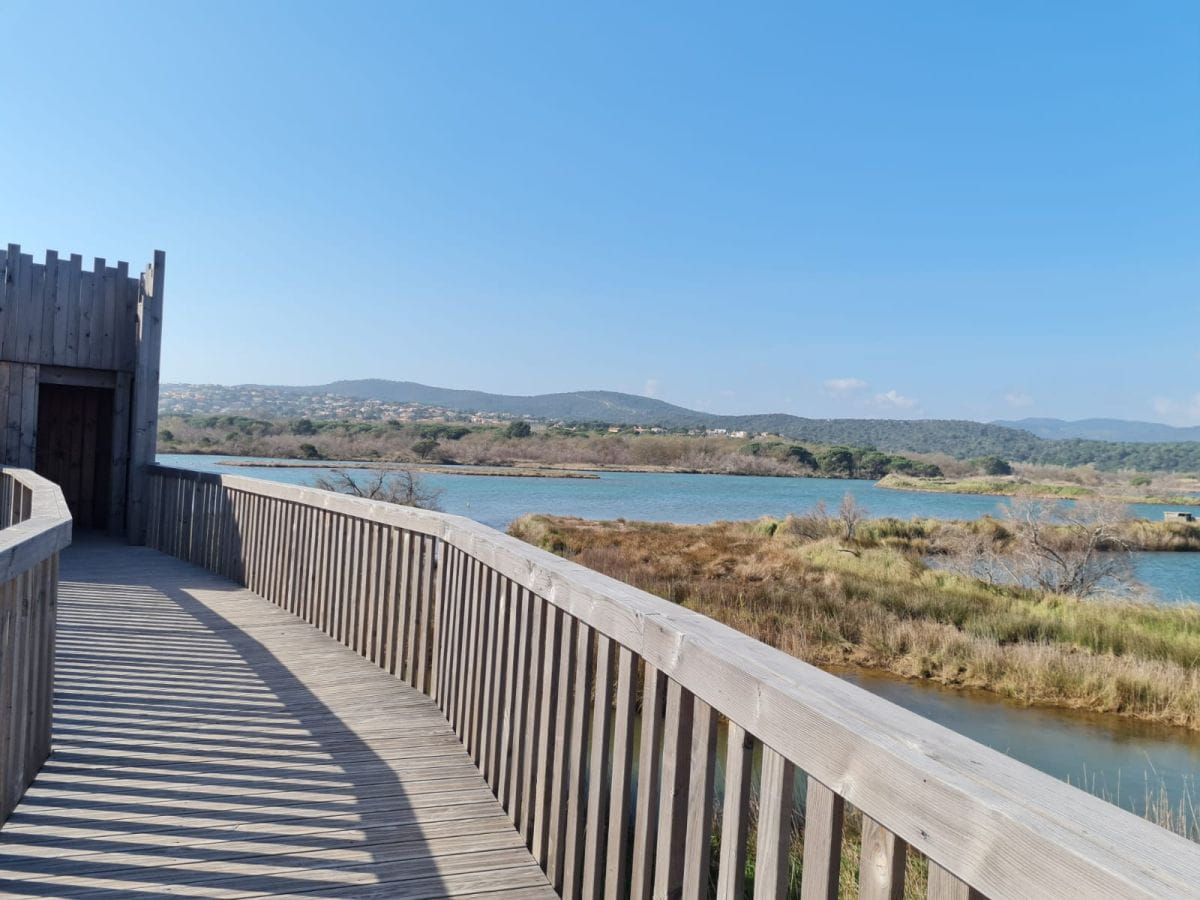Passerelle face aux étangs villepey